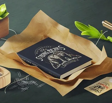 Business Cards - 球探篮球